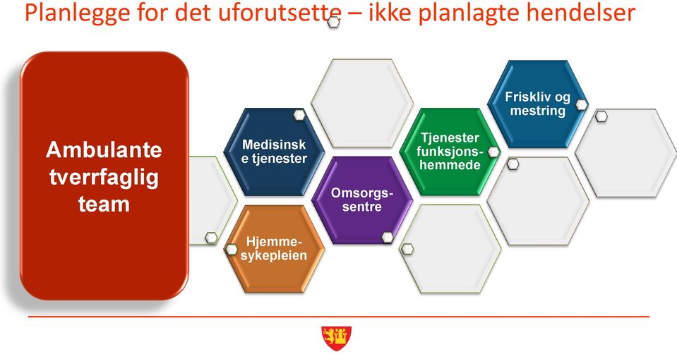 tverrfaglig team Medisinsk e tjenester