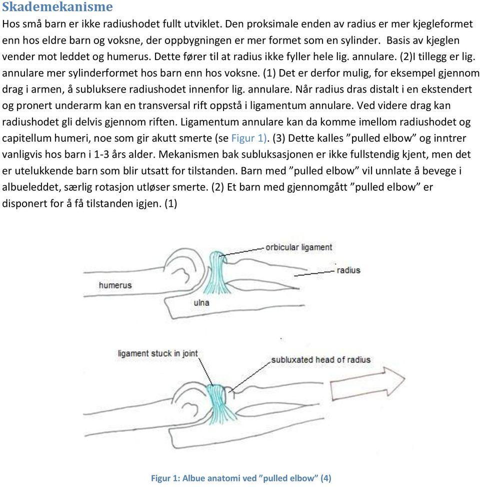 (1) Det er derfor mulig, for eksempel gjennom drag i armen, å subluksere radiushodet innenfor lig. annulare.