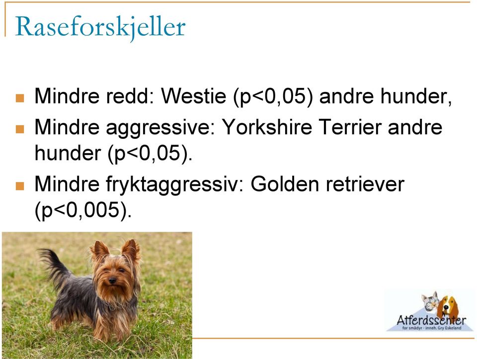 Yorkshire Terrier andre hunder (p<0,05).