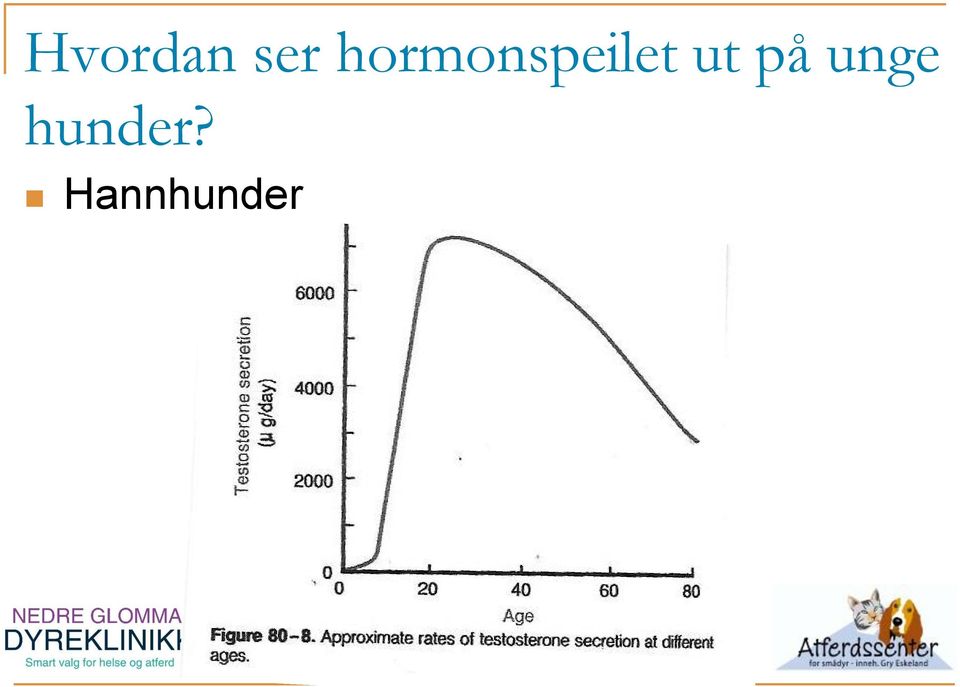 ut på unge