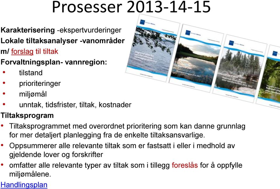 prioritering som kan danne grunnlag for mer detaljert planlegging fra de enkelte tiltaksansvarlige.