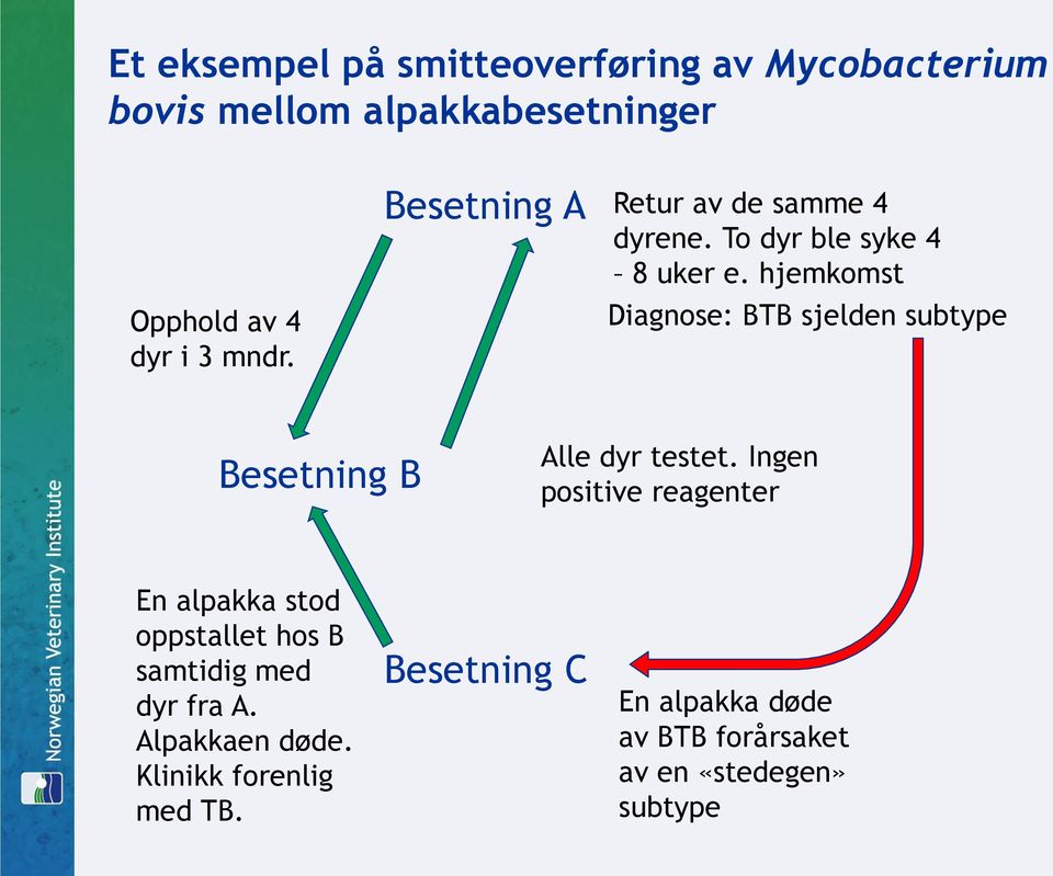 hjemkomst Diagnose: BTB sjelden subtype Besetning B Alle dyr testet.