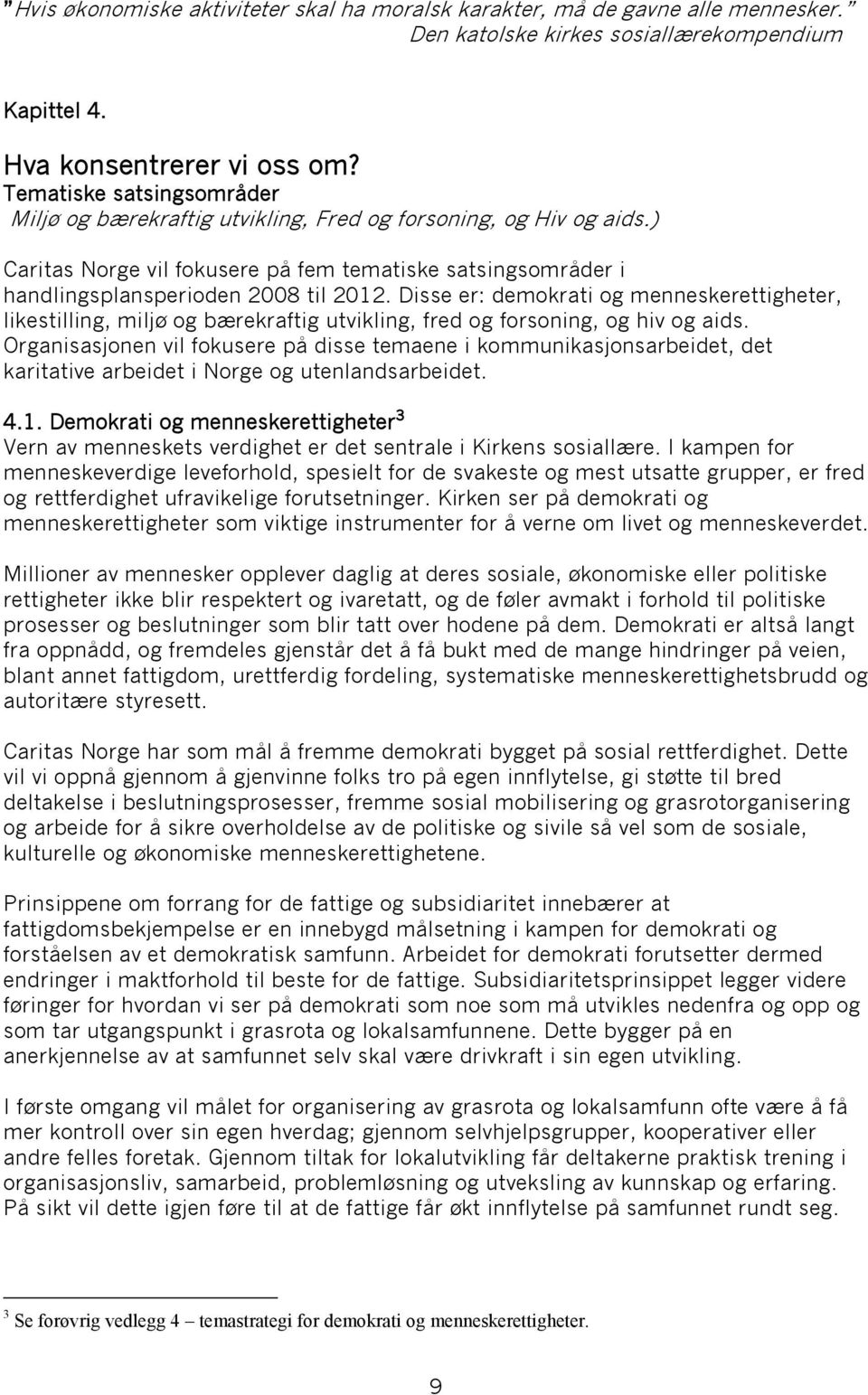 Disse er: demokrati og menneskerettigheter, likestilling, miljø og bærekraftig utvikling, fred og forsoning, og hiv og aids.