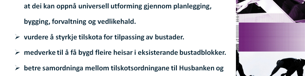 Utenfor vårt arbeidsområde nevnes også en styrking av tilskudd for tilpasning av boliger, medvirkning til at det blir feler