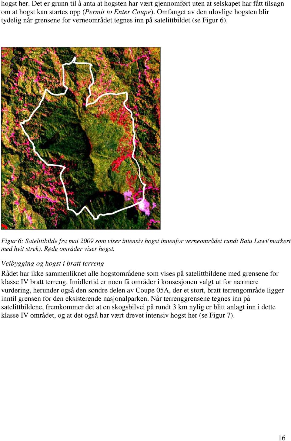 Figur 6: Satelittbilde fra mai 2009 som viser intensiv hogst innenfor verneområdet rundt Batu Lawi(markert med hvit strek). Røde områder viser hogst.