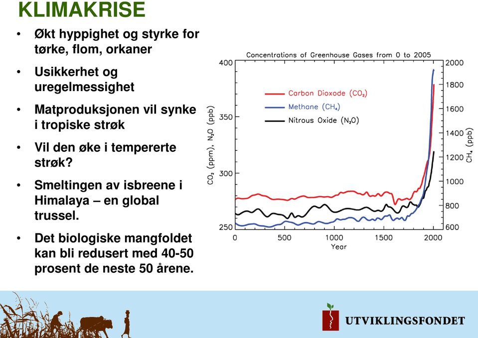 tempererte strøk? Smeltingen av isbreene i Himalaya en global trussel.