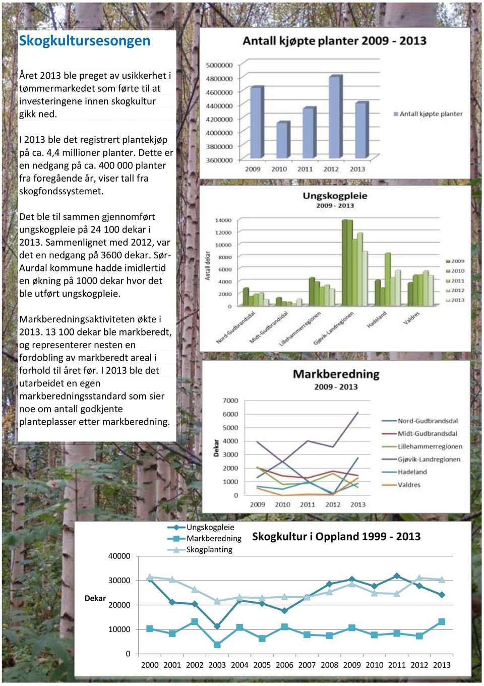 Sammenlignet med 2012, var det en nedgang på 3600 dekar. Sør- Aurdal kommune hadde imidlertid en økning på 1000 dekar hvor det ble utført ungskogpleie. Markberedningsaktiviteten økte i 2013.