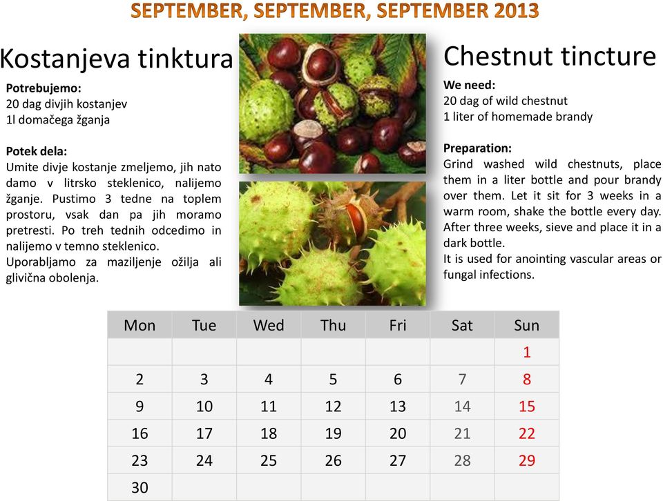 Chestnut tincture We need: 20 dag of wild chestnut 1 liter of homemade brandy Preparation: Grind washed wild chestnuts, place them in a liter bottle and pour brandy over them.