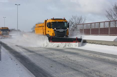 Parkeringsfelt Skulder -Strøareal omfatter kjørefelt, sykkelfelt, lommer og parkeringsfelt. 2.