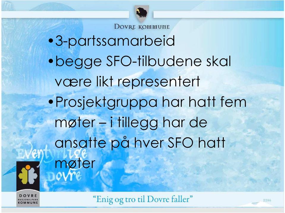 Prosjektgruppa har hatt fem møter i