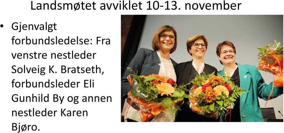 venstre nestleder Solveig K.