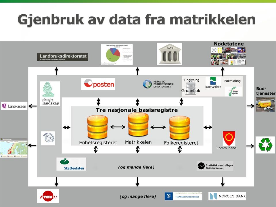 nasjonale basisregistre Enhetsregisteret