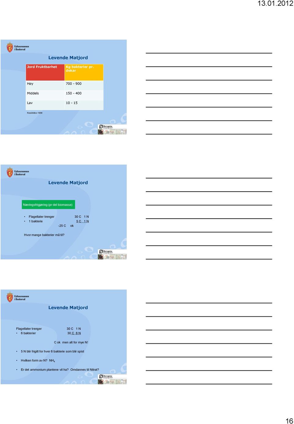 Flagellater trenger 30 C 1 N 1 bakterie 5 C 1 N -25 C ok Hvor mange bakterier må til?