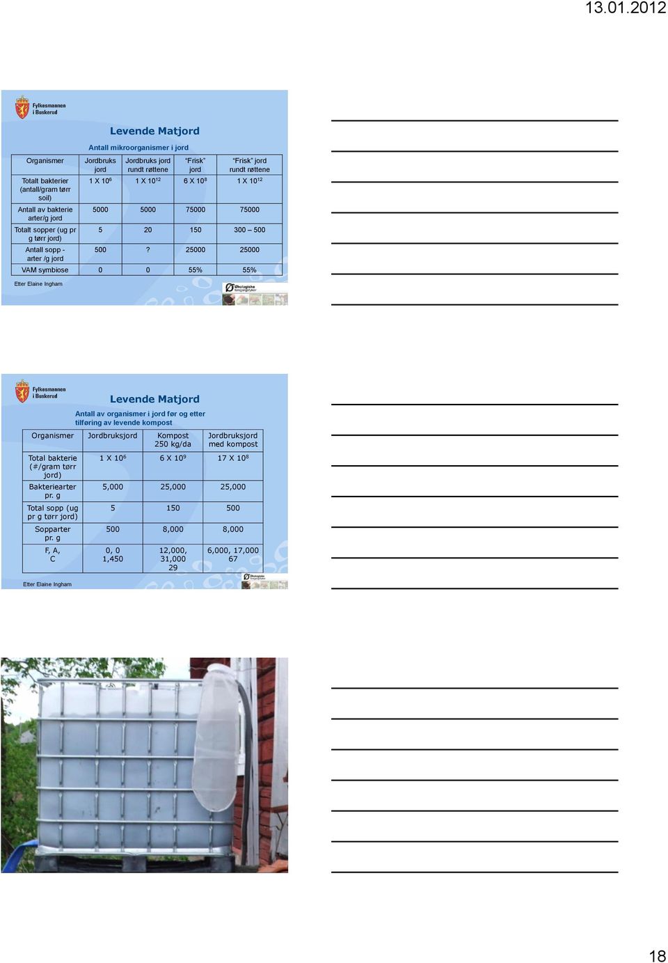 25000 25000 VAM symbiose 0 0 55% 55% Etter Elaine Ingham Antall av organismer i jord før og etter tilføring av levende kompost Organismer Jordbruksjord Kompost 250 kg/da Total bakterie (#/gram