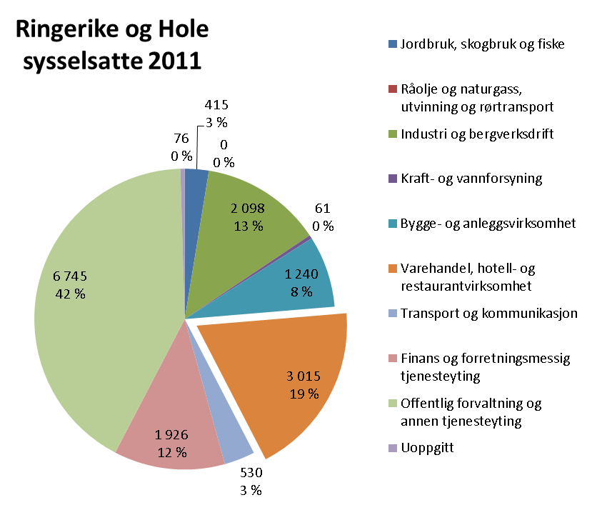 Ringerike og Hole Den største næringen i regionen etter offentlig forvaltning, er varehandel (inkludert hotell- og restaurantvirksomhet) med om lag 3 000 sysselsatte.