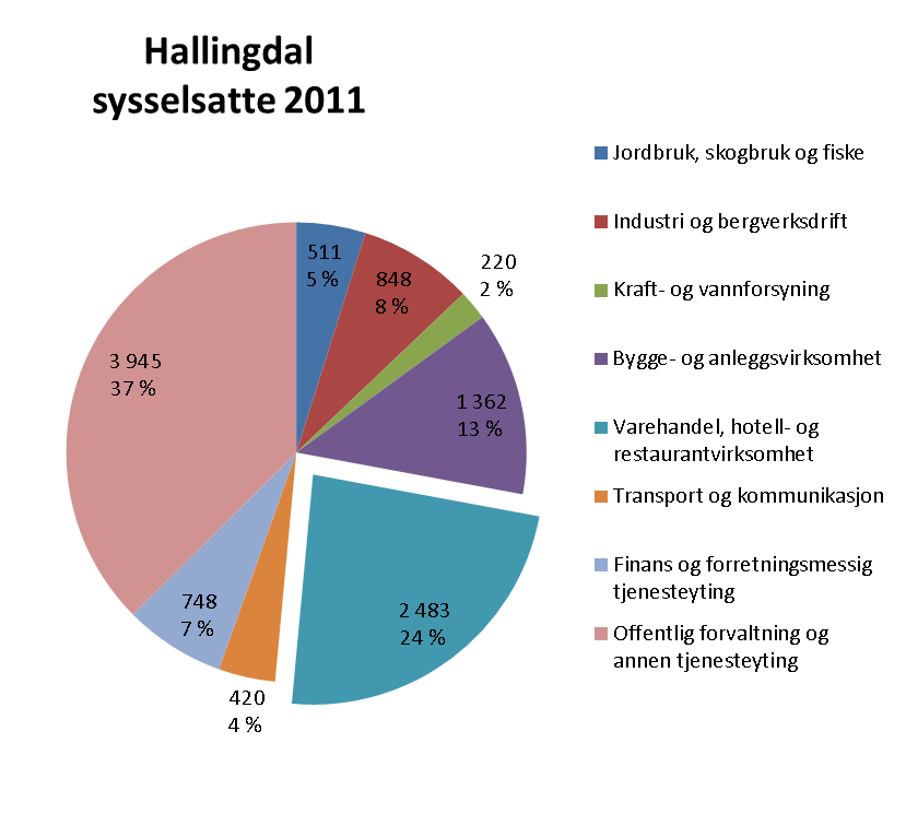 Hallingdal Reiselivsnæringene (inkludert i varehandel, hotell- og restaurantvirksomhet) er den næringen som utmerker seg mest i regionen, med nærmere 2 500 sysselsatte i 2011.