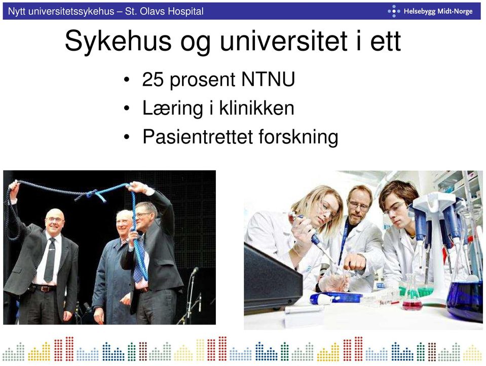 prosent NTNU Læring i