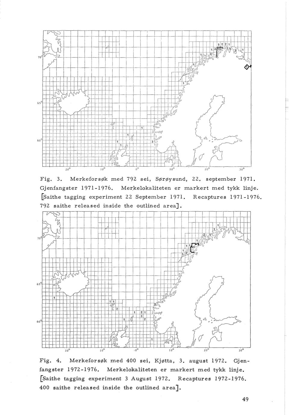 MerkeforsØk med 400 sei, Kj~tta, 3. august 1972. Gjen- fangster 1972-1976.