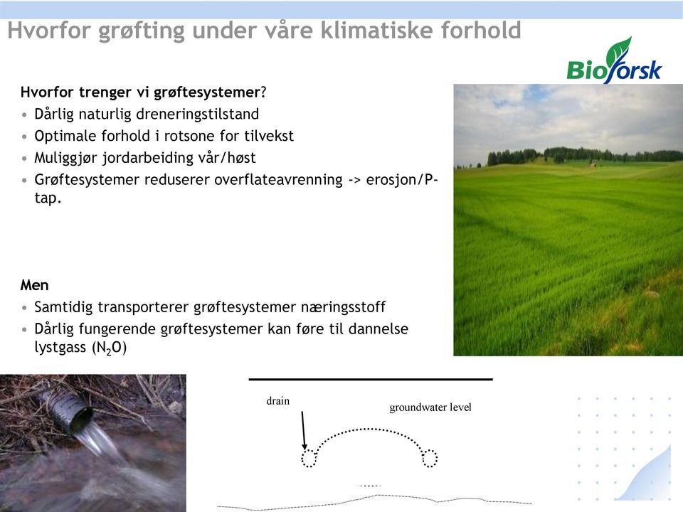 vår/høst Grøftesystemer reduserer overflateavrenning -> erosjon/ptap.