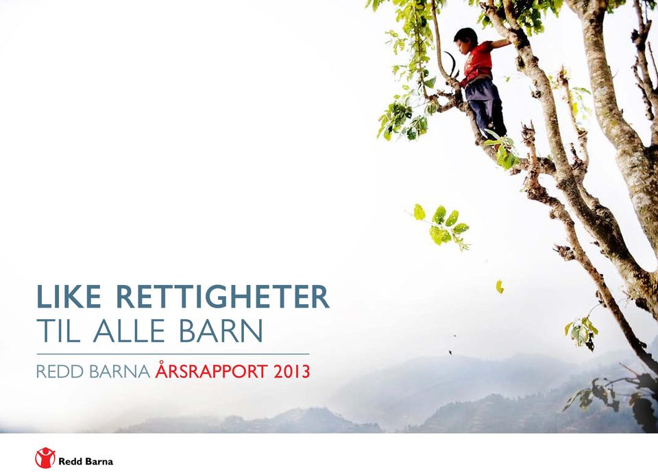 ÅRSRAPPORT 2013 REDD