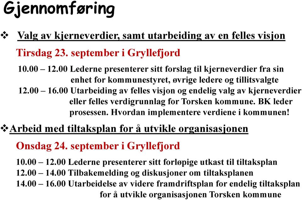 00 Utarbeiding av felles visjon og endelig valg av kjerneverdier eller felles verdigrunnlag for Torsken kommune. BK leder prosessen. Hvordan implementere verdiene i kommunen!