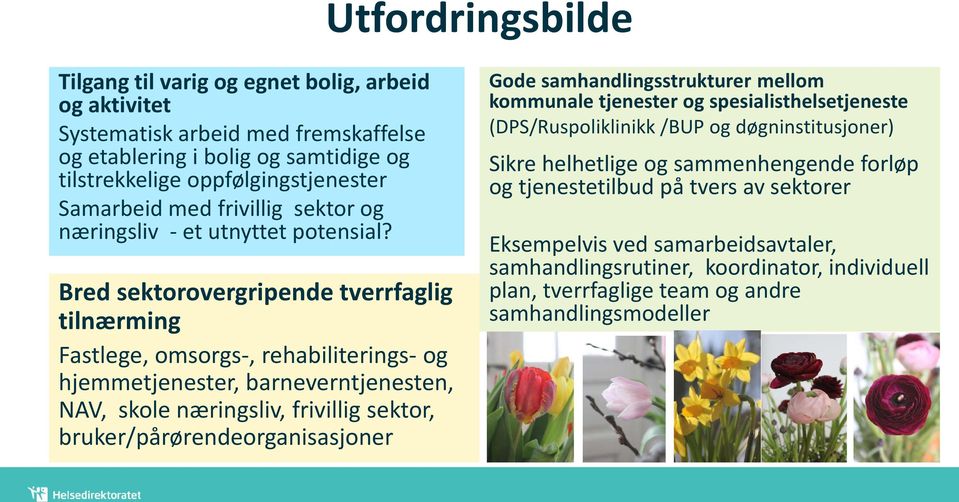 Bred sektorovergripende tverrfaglig tilnærming Fastlege, omsorgs-, rehabiliterings- og hjemmetjenester, barneverntjenesten, NAV, skole næringsliv, frivillig sektor, bruker/pårørendeorganisasjoner