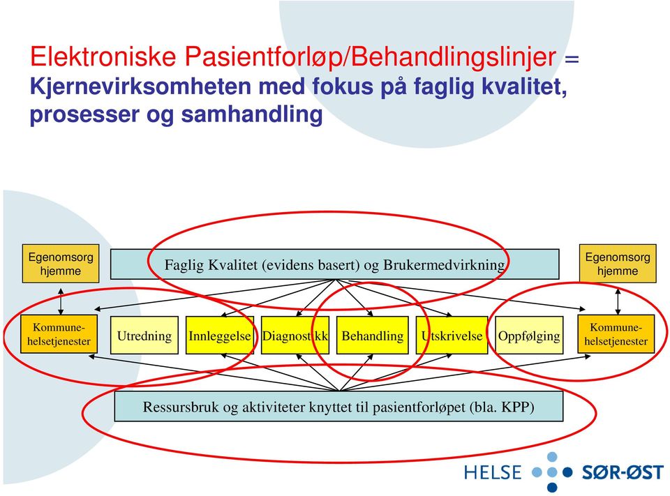 Egenomsorg hjemme Kommunehelsetjenester Utredning Innleggelse Diagnostikk Behandling Utskrivelse