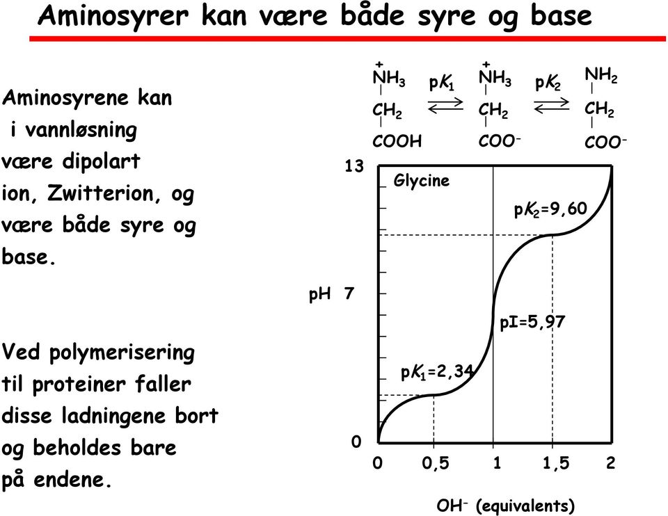 Ved polymerisering til proteiner faller disse ladningene bort og beholdes bare på endene.