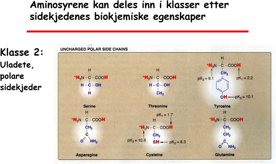 deles inn i klasser etter