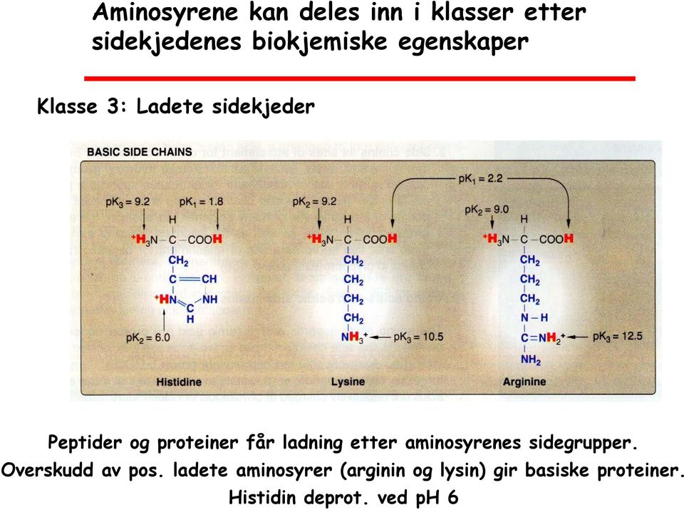 ladning etter aminosyrenes sidegrupper. Overskudd av pos.