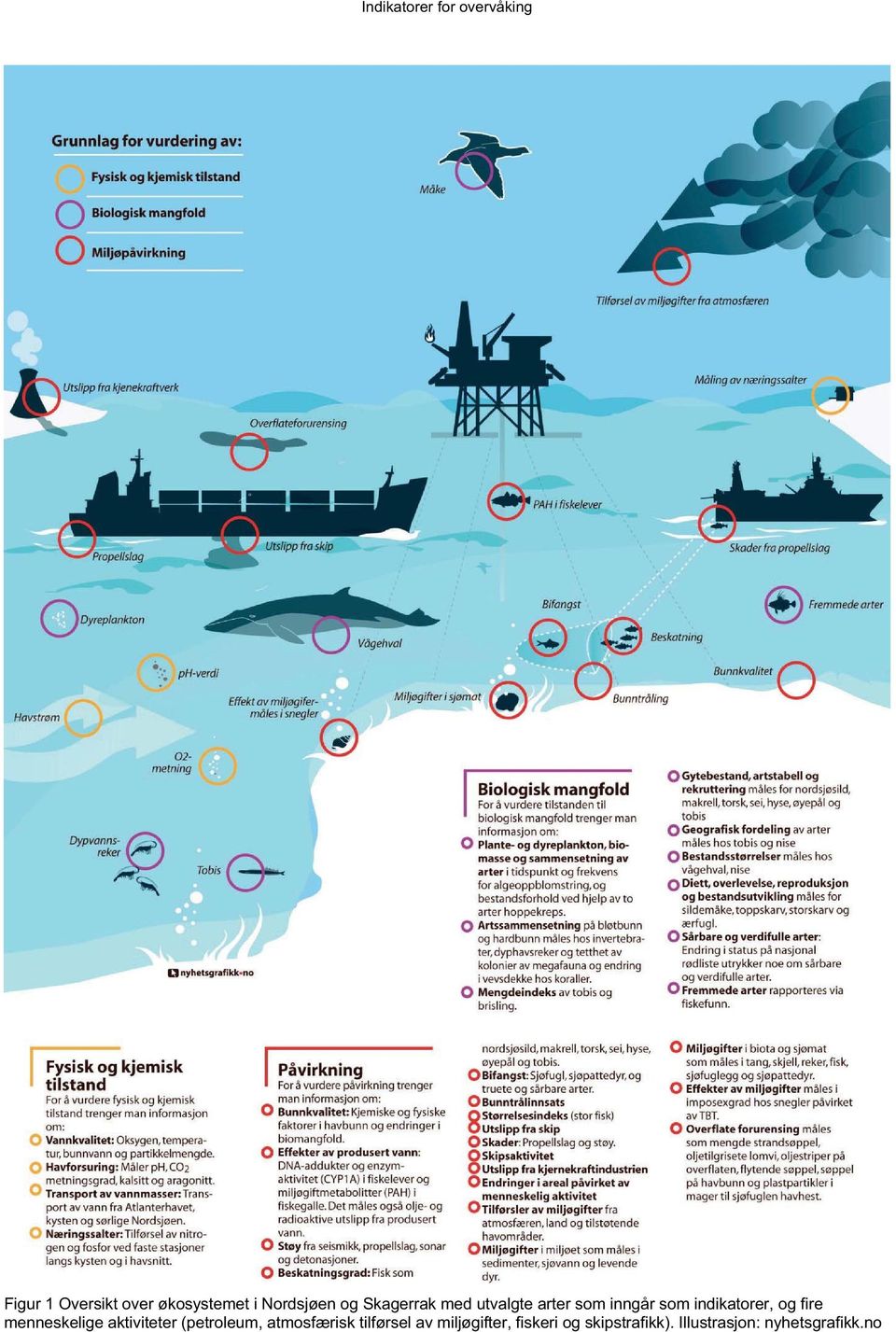 menneskelige aktiviteter (petroleum, atmosærisk tilørsel av