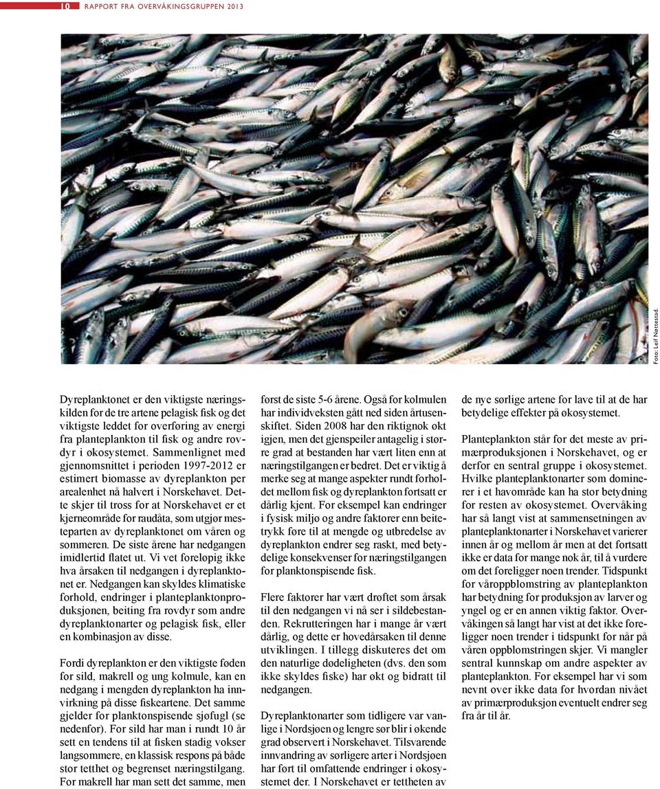 Sammenlignet med gjennomsnittet i perioden 1997-2012 er estimert biomasse av dyreplankton per arealenhet nå halvert i Norskehavet.