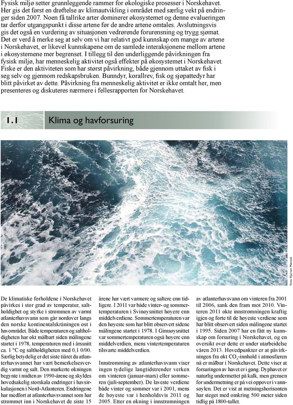 Avslutningsvis gis det også en vurdering av situasjonen vedrørende forurensning og trygg sjømat.