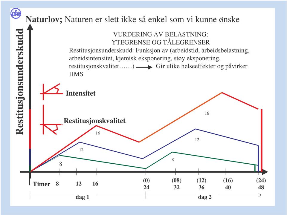 arbeidsintensitet, kjemisk eksponering, støy eksponering, restitusjonskvalitet ) Gir ulike helseeffekter og