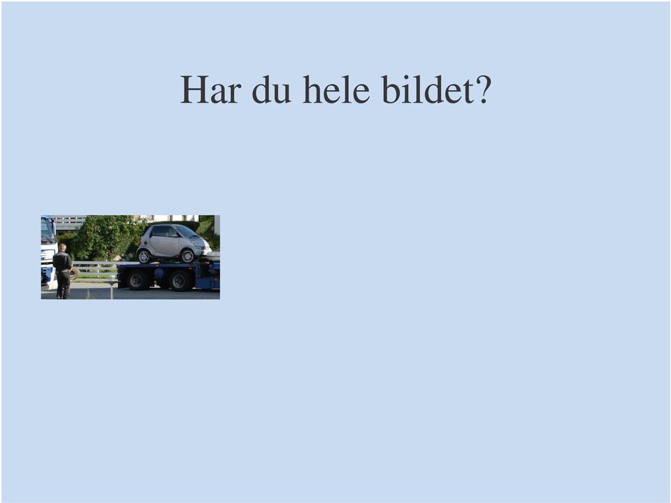 bildet?