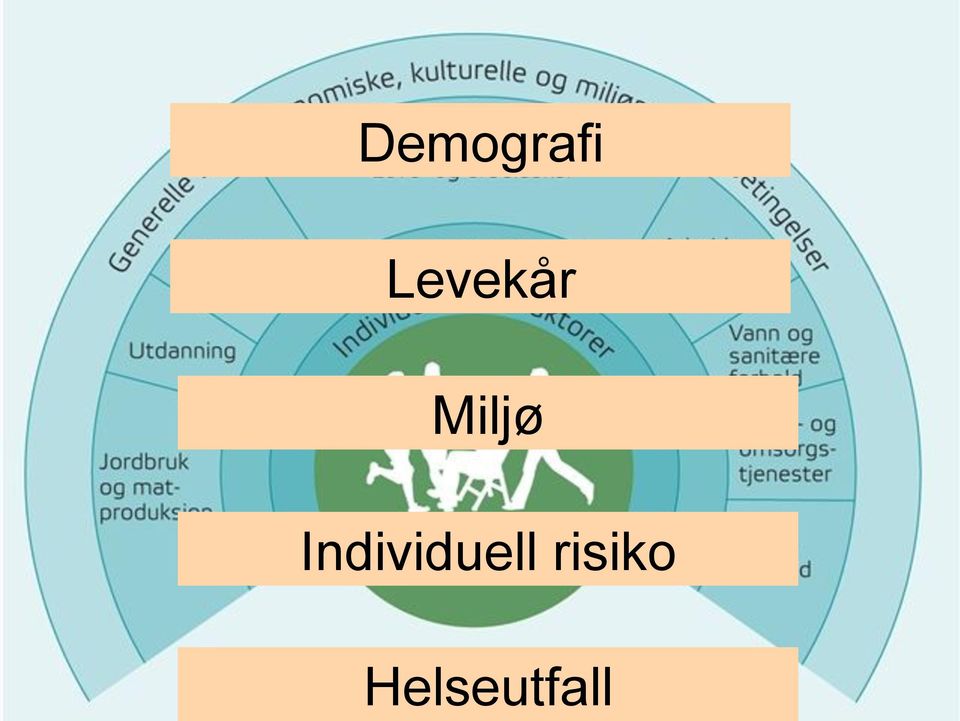 risiko Helseutfall