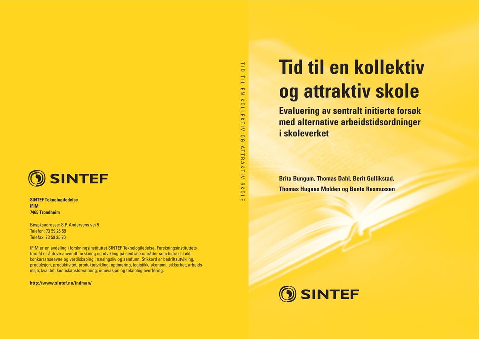 Stikkord er bedriftsutvikling, produksjon, produktivitet, produktutvikling, optimering, logistikk, økonomi, sikkerhet, arbeidsmiljø, kvalitet, kunnskapsforvaltning, innovasjon og teknologioverføring.