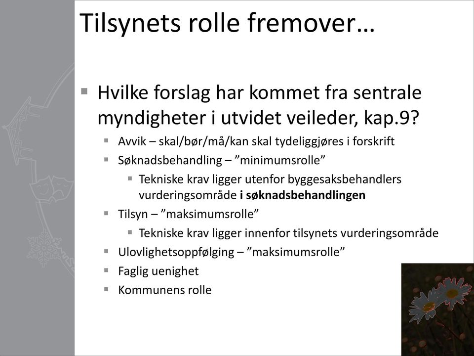 utenfor byggesaksbehandlers vurderingsområde i søknadsbehandlingen Tilsyn maksimumsrolle Tekniske krav