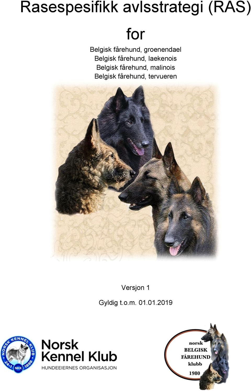 laekenois Belgisk fårehund, malinois Belgisk