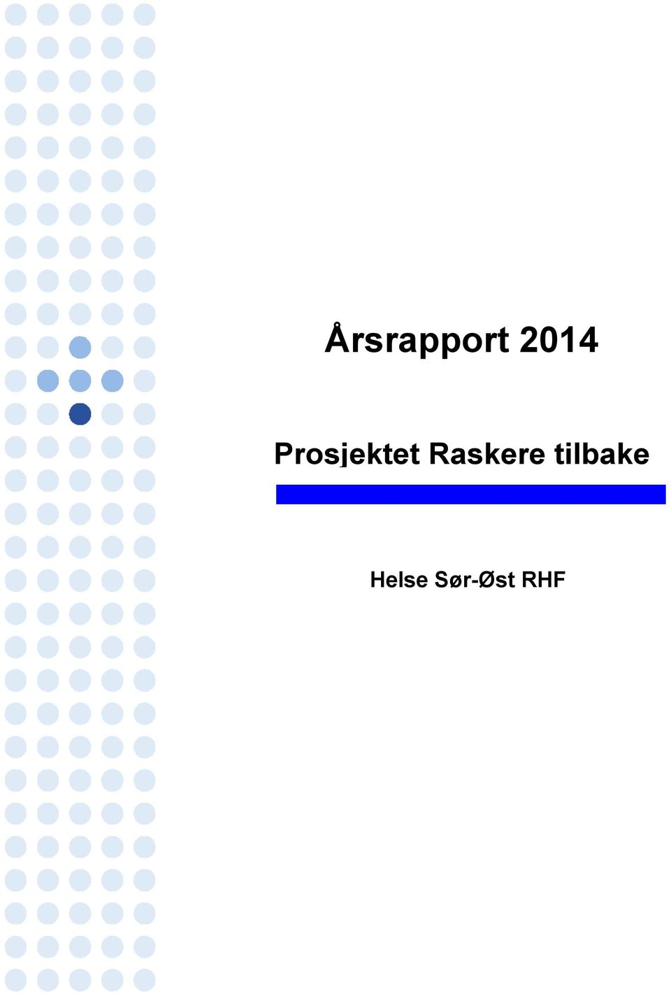 Prosjektet