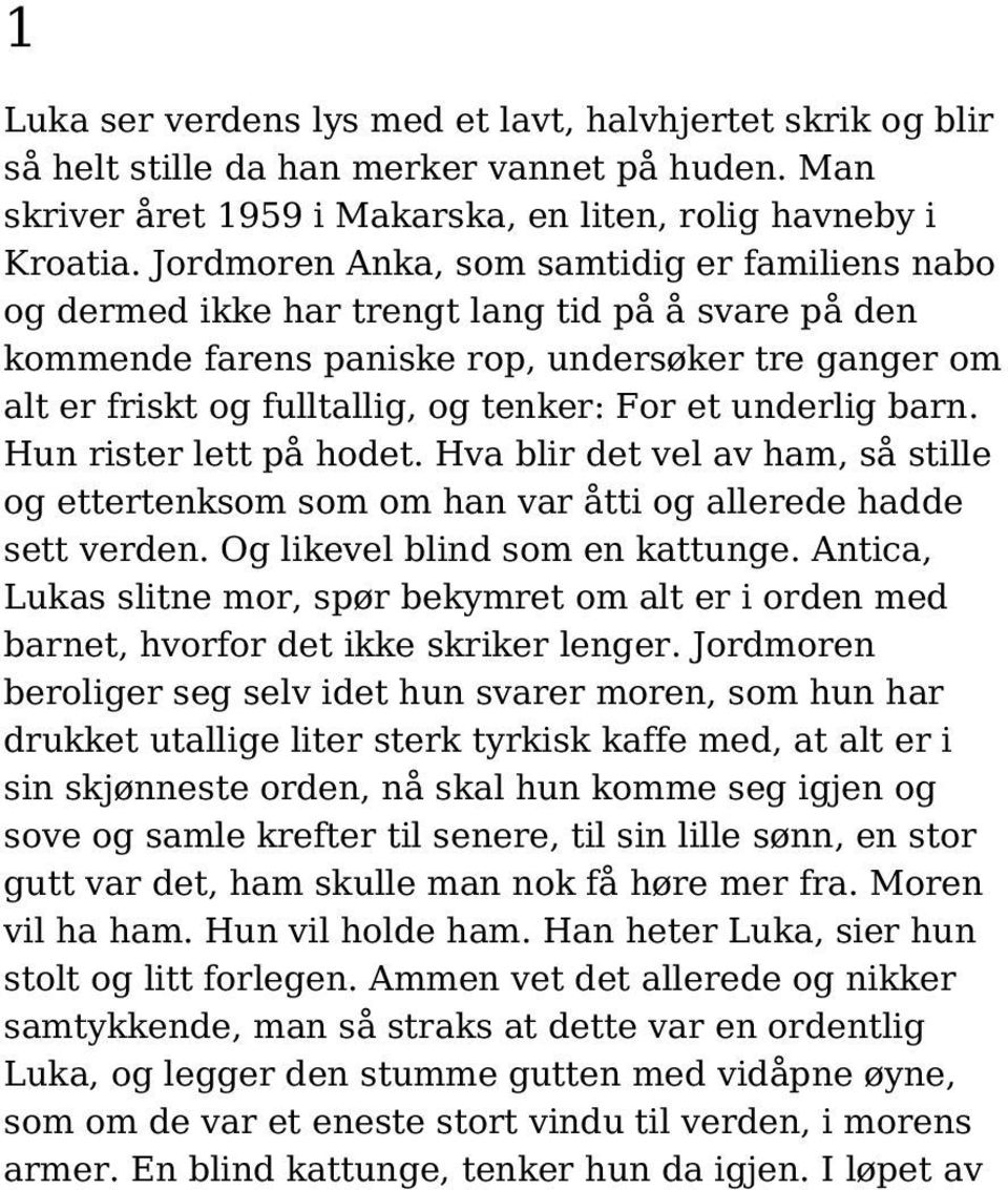 et underlig barn. Hun rister lett på hodet. Hva blir det vel av ham, så stille og ettertenksom som om han var åtti og allerede hadde sett verden. Og likevel blind som en kattunge.