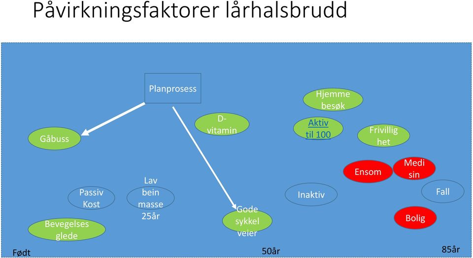 Bevegelses glede Passiv Kost Lav bein masse 25år Gode