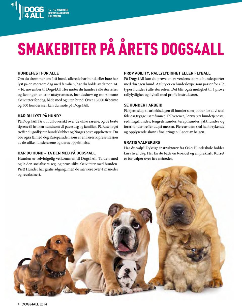 000 firbeinte og 300 hunderaser kan du møte på Dogs4All. HAR DU LYST PÅ HUND? På Dogs4All får du full oversikt over de ulike rasene, og de beste tipsene til hvilken hund som vil passe deg og familien.