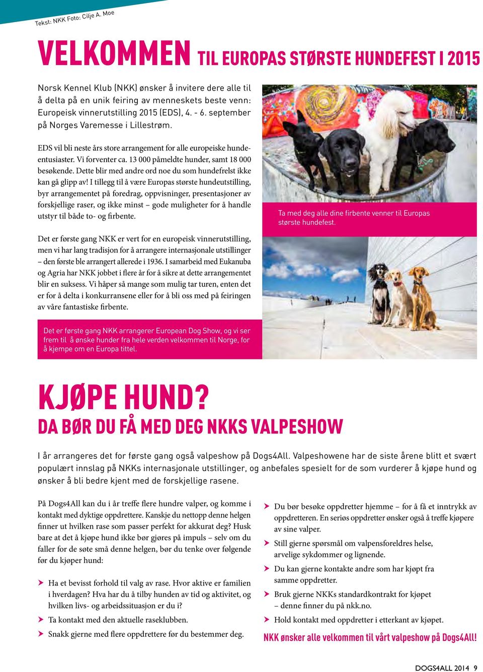 4. - 6. september på Norges Varemesse i Lillestrøm. EDS vil bli neste års store arrangement for alle europeiske hundeentusiaster. Vi forventer ca. 13 000 påmeldte hunder, samt 18 000 besøkende.