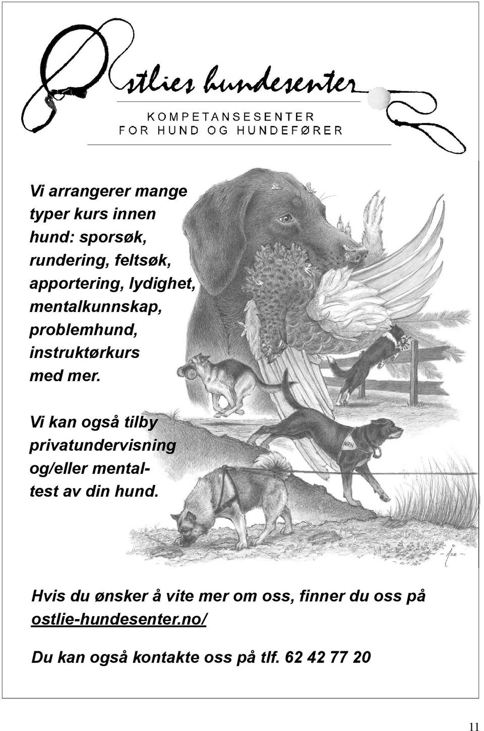 Vi kan også tilby privatundervisning og/eller mentaltest av din hund.