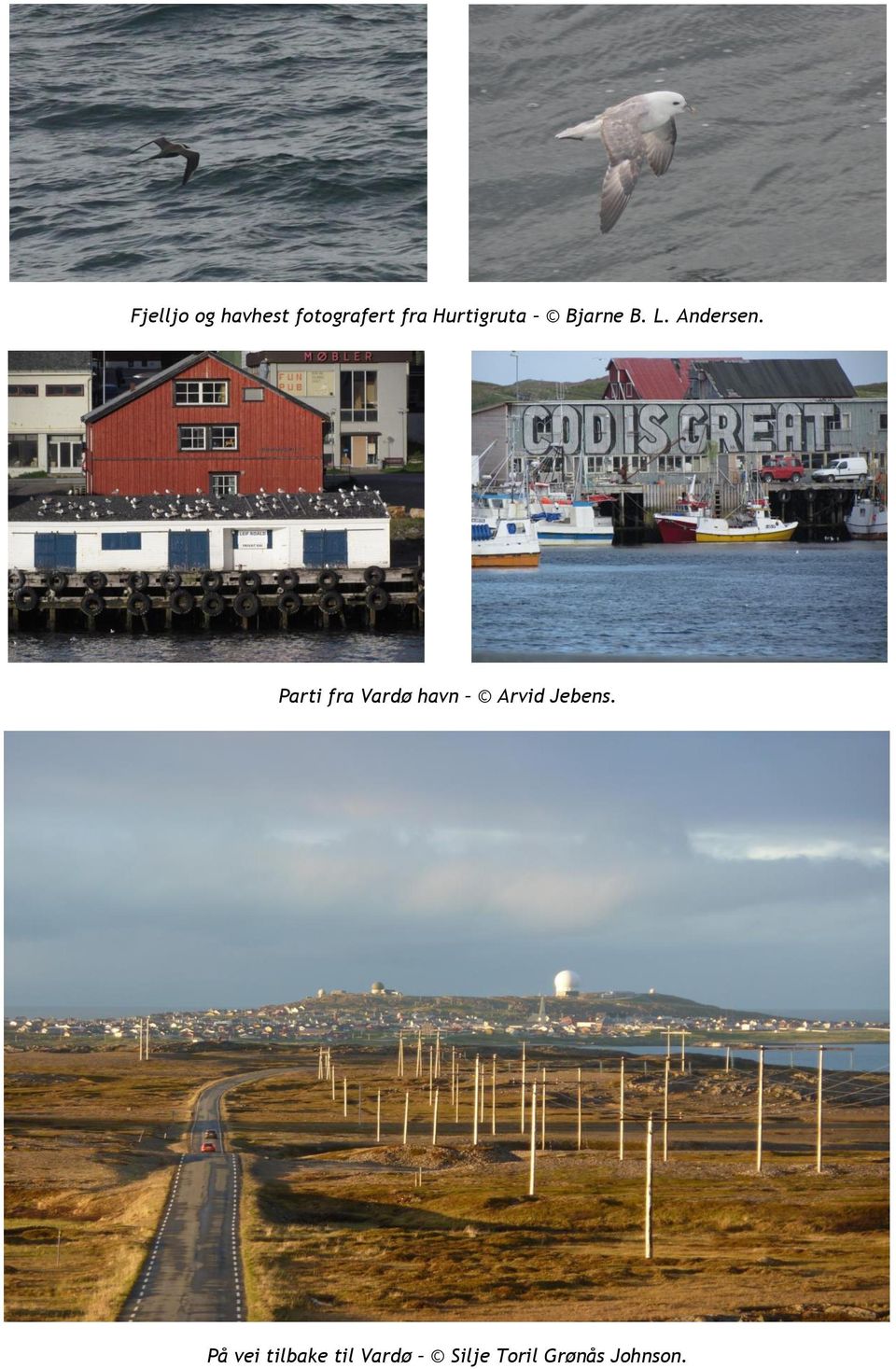 Parti fra Vardø havn Arvid Jebens.