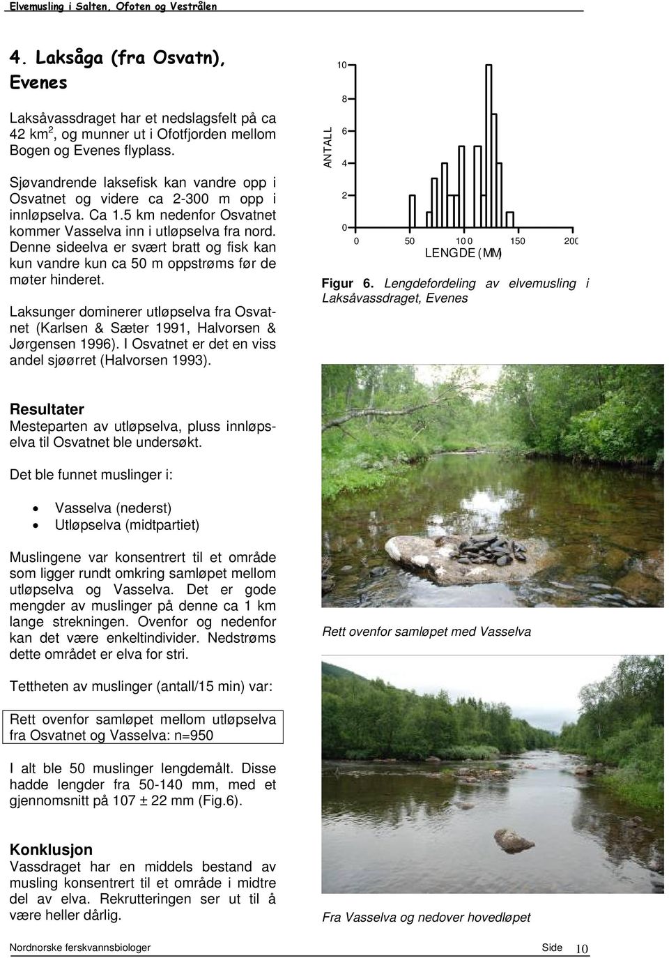 Denne sideelva er svært bratt og fisk kan kun vandre kun ca 5 m oppstrøms før de møter hinderet. Laksunger dominerer utløpselva fra Osvatnet (Karlsen & Sæter 1991, Halvorsen & Jørgensen 1996).