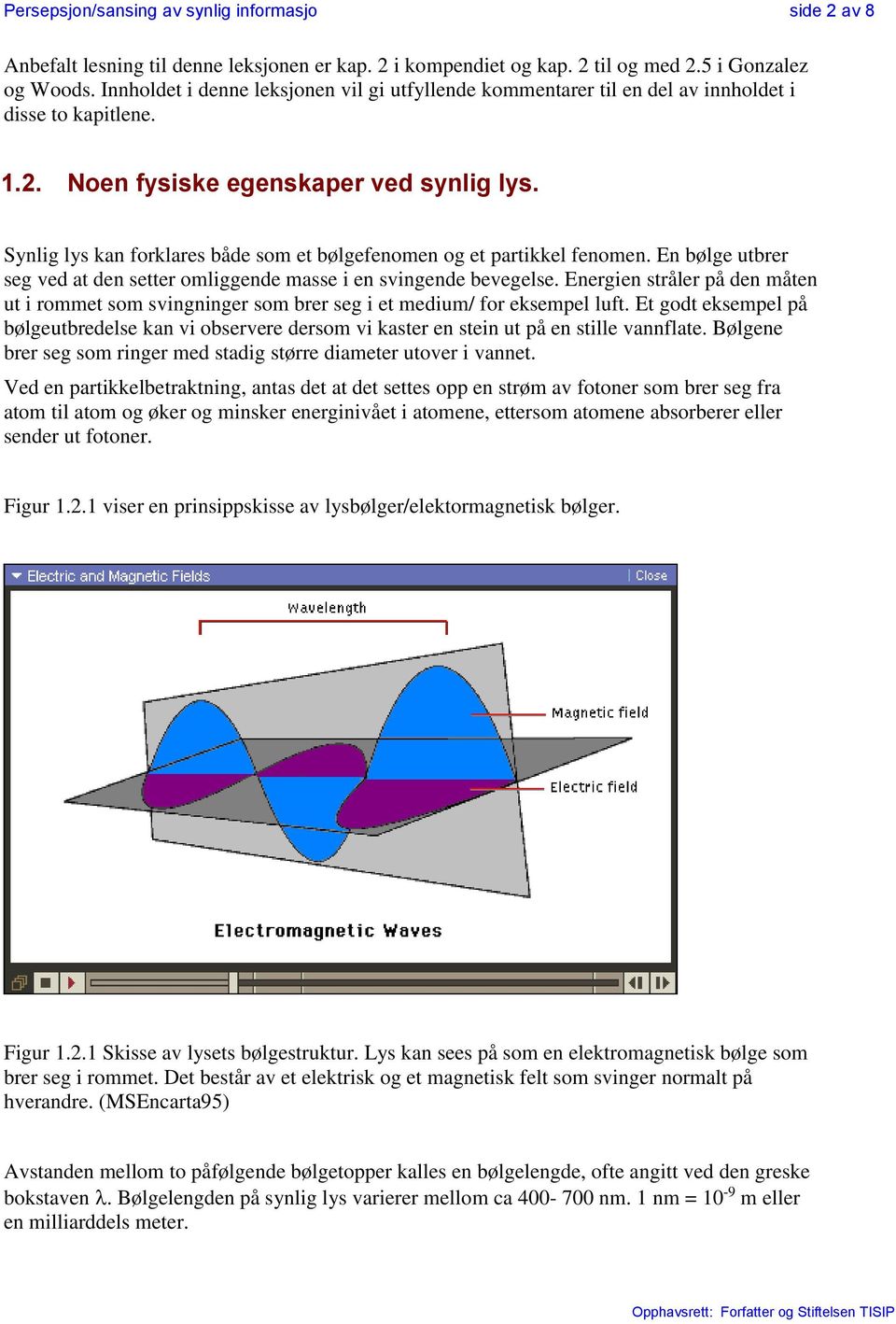 Synlig lys kan forklares både som et bølgefenomen og et partikkel fenomen. En bølge utbrer seg ved at den setter omliggende masse i en svingende bevegelse.