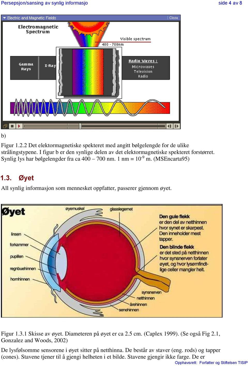 Øyet All synlig informasjon som mennesket oppfatter, passerer gjennom øyet. Figur 1.3.1 Skisse av øyet. Diameteren på øyet er ca 2.5 cm. (Caplex 1999). (Se også Fig 2.