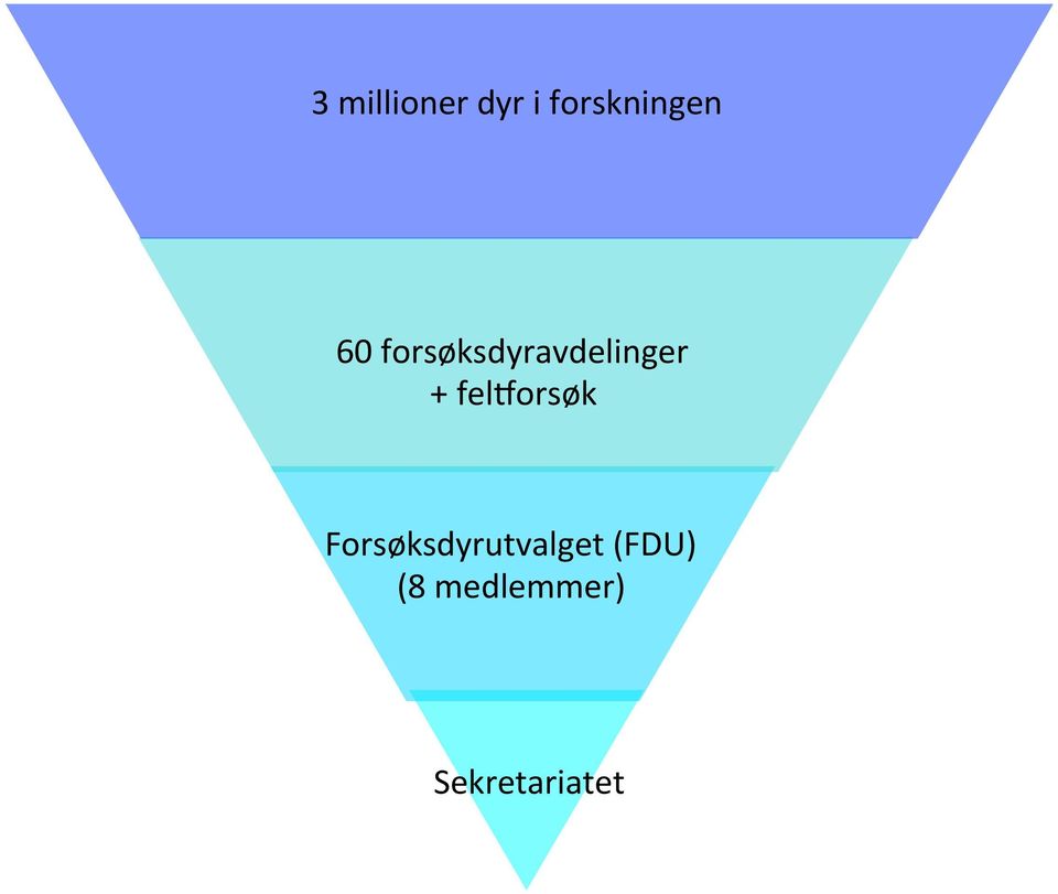 felgorsøk Forsøksdyrutvalget